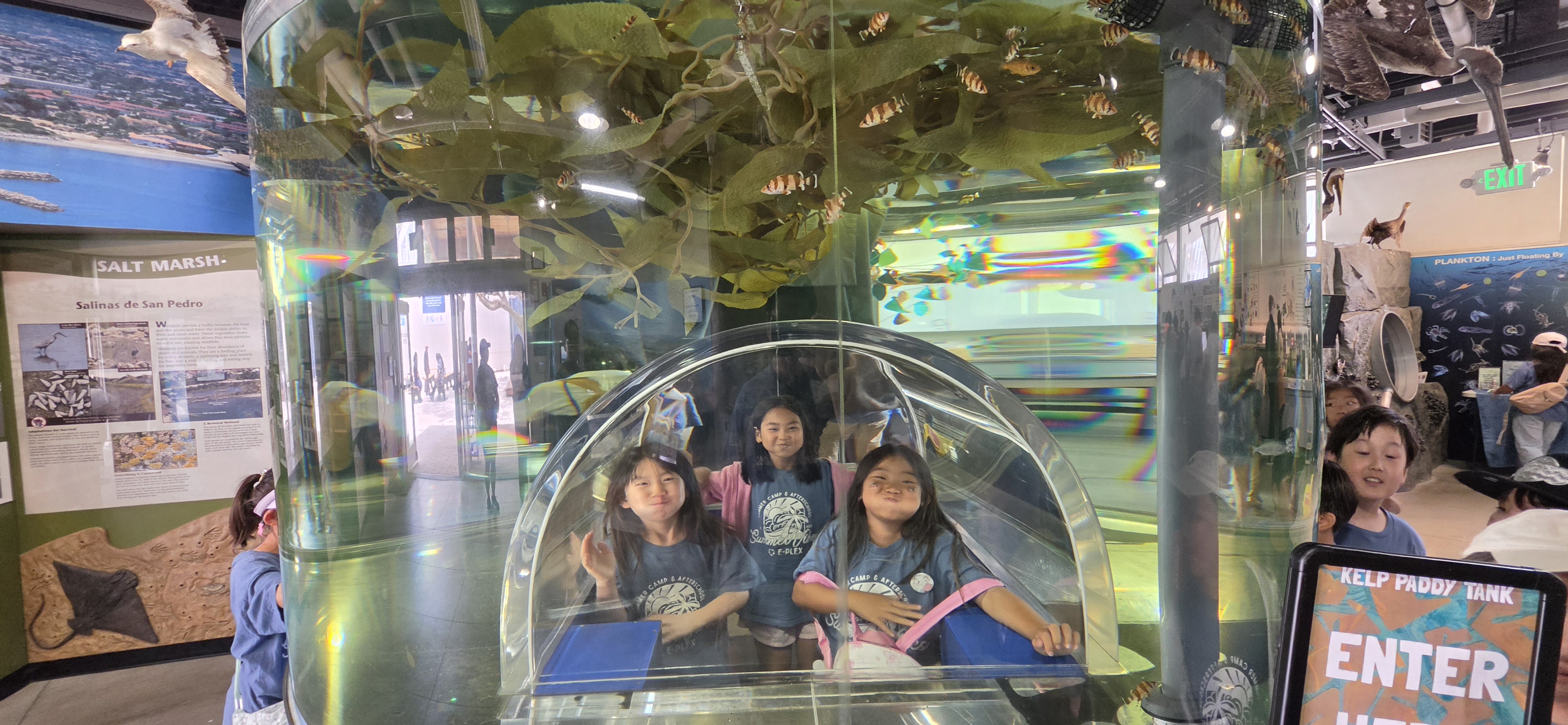 Cabrillo Aquarium Field Trip 6/19
